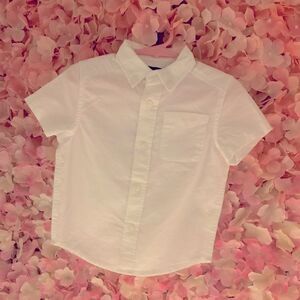 Button Down Shirt